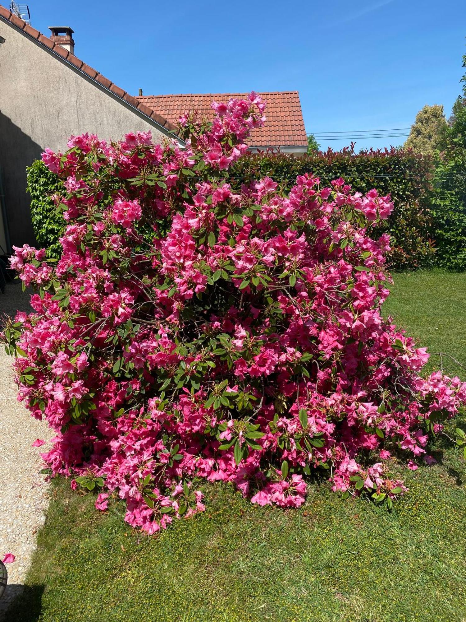 Bed and Breakfast Le Petitepinay Moitron-sur-Sarthe Exterior foto